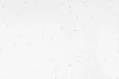 Lyra White - OWS5 171